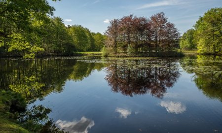 Alum Treatments for Improved Pond Water Quality