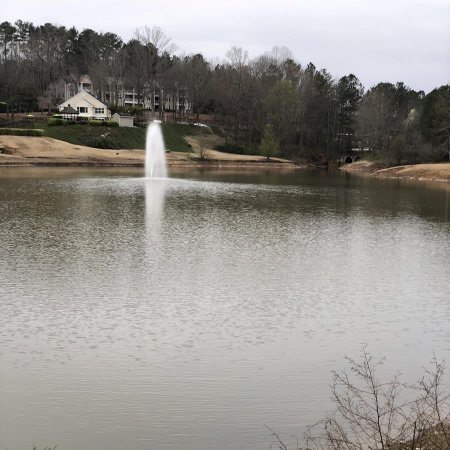 Types of Pond Aerators and Their Maintenance