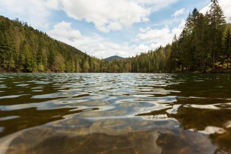 What Is Lake Turnover?