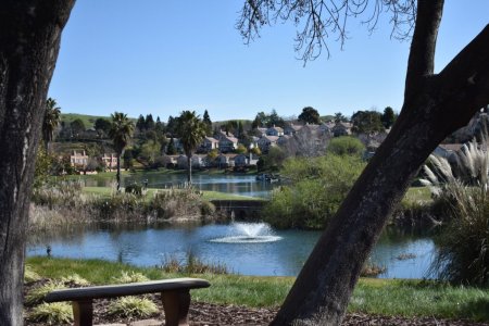 7 Eco-Conscious Lake Restoration Solutions to Consider