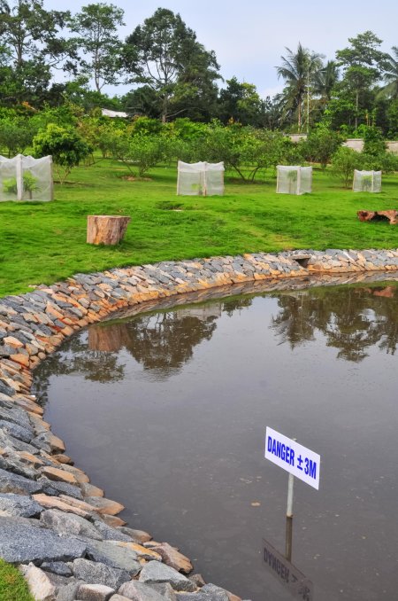 Common Retention Pond Maintenance Challenges