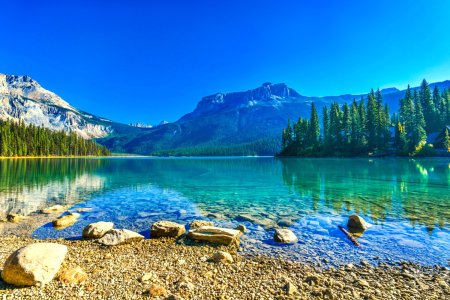 Lake Probiotics: Nature's Solution for a Cleaner and Healthier Lake