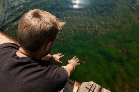 How to Improve Water Clarity in Your Lake or Pond