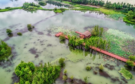Managing Algae and Contaminants in Ponds and Lakes