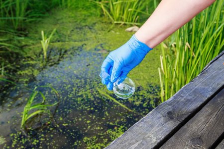 Dredging vs Pond Cleaning: What’s the Difference?